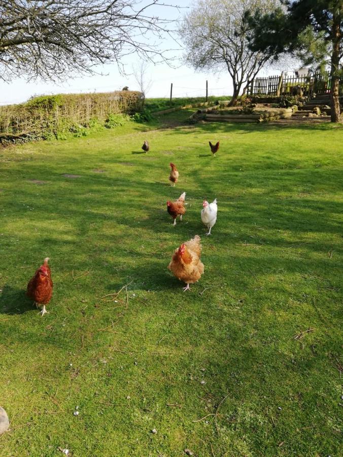 Cosy Dog Friendly Lodge With An Outdoor Bath On The Isle Of Wight Whitwell  Exterior foto