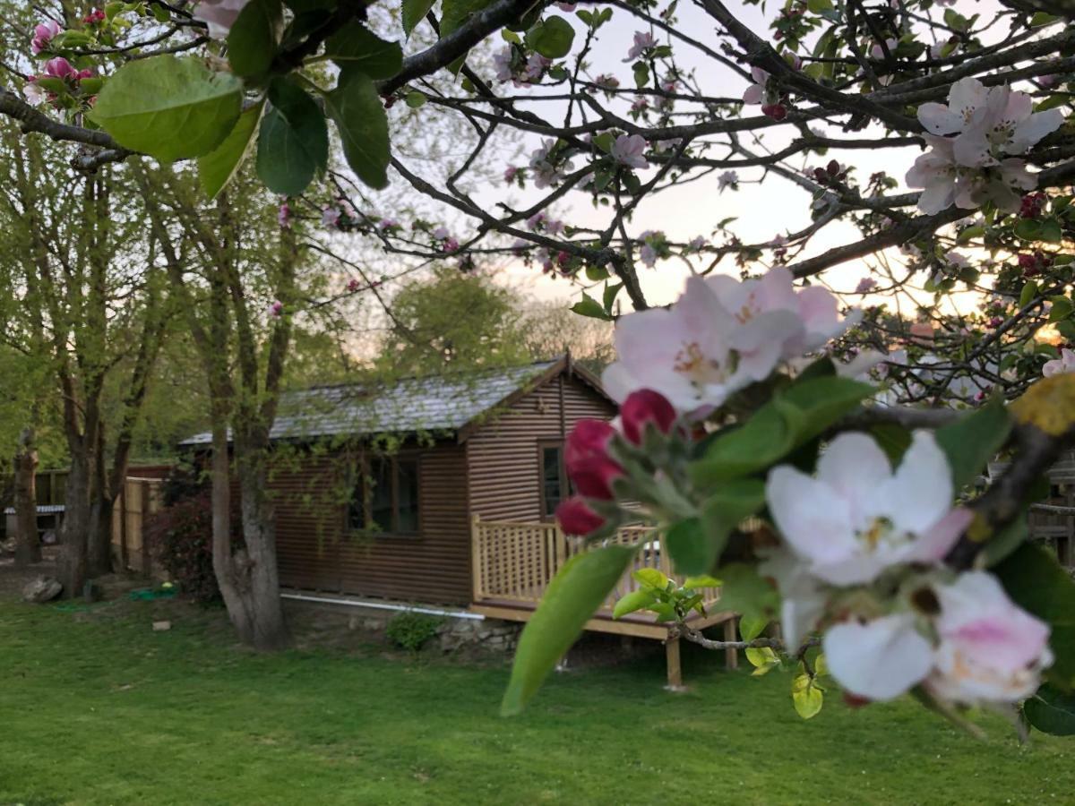 Cosy Dog Friendly Lodge With An Outdoor Bath On The Isle Of Wight Whitwell  Exterior foto
